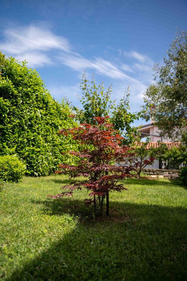 Soraja Apartments Izola Εξωτερικό φωτογραφία
