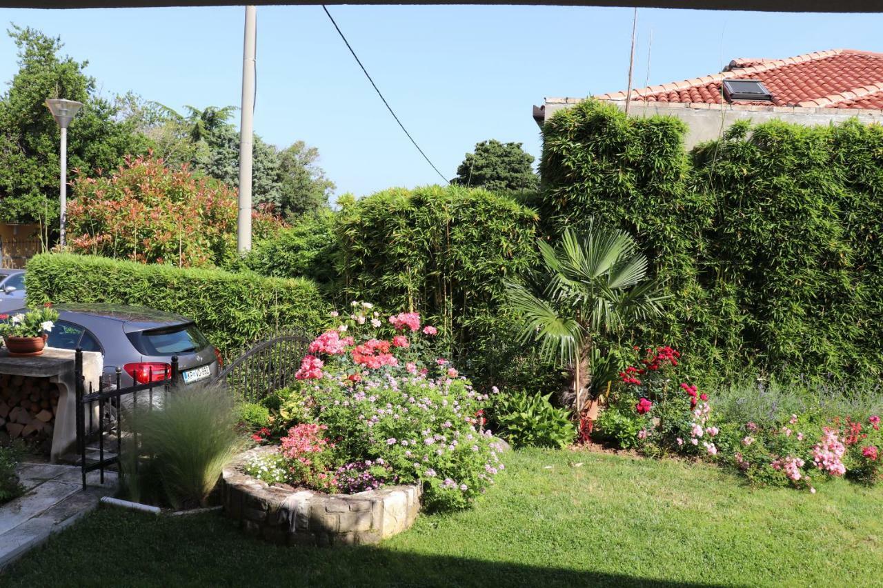 Soraja Apartments Izola Εξωτερικό φωτογραφία